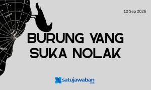 Burung Burung Apa yang Suka Nolak