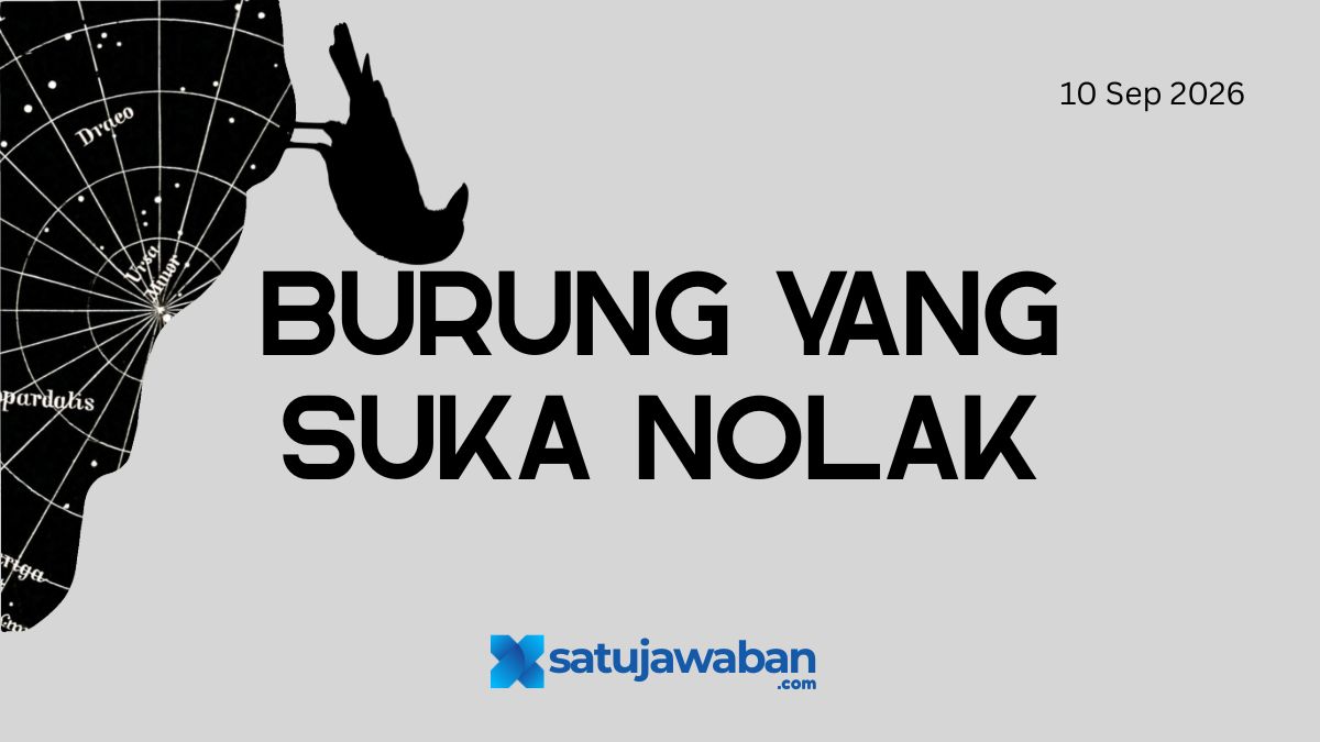 Burung Burung Apa yang Suka Nolak