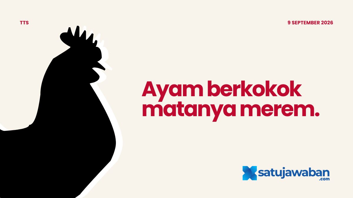 Kenapa Ayam Berkokok Matanya Merem