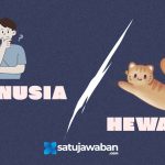 ersamaan dan Perbedaan yang Kalian Temukan antara Hewan dan Manusia