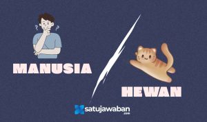 ersamaan dan Perbedaan yang Kalian Temukan antara Hewan dan Manusia