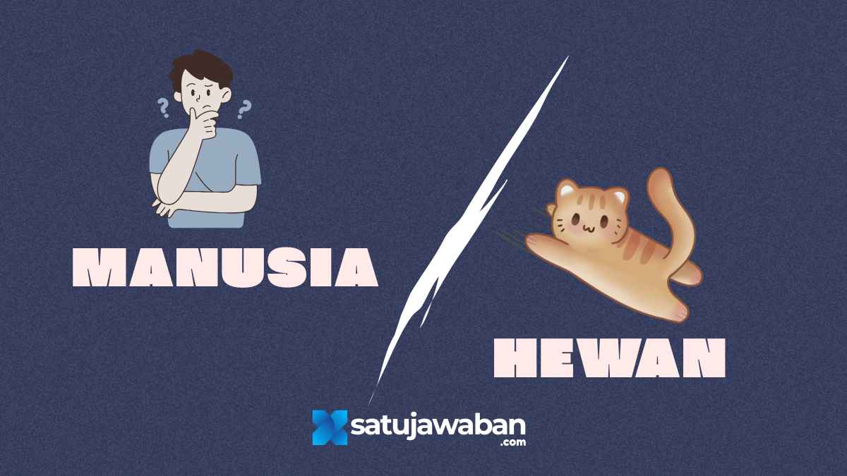 ersamaan dan Perbedaan yang Kalian Temukan antara Hewan dan Manusia